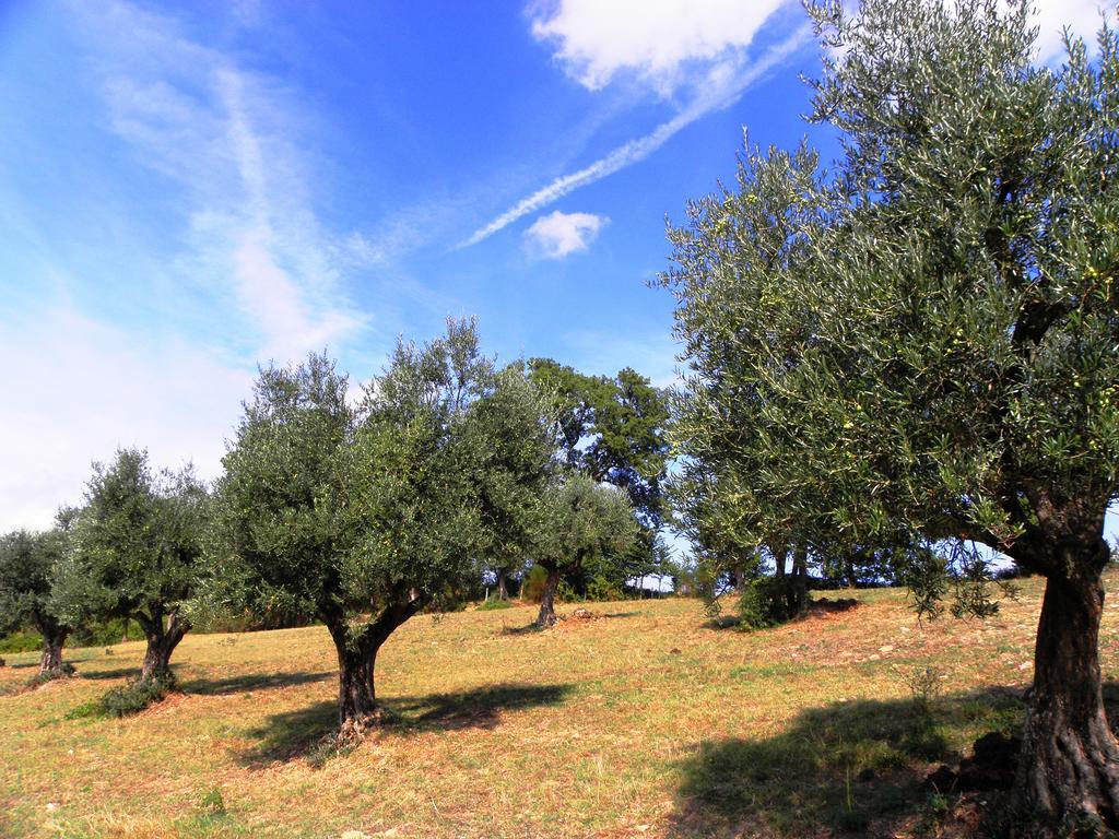 Vila Aurora Gubbio Exteriér fotografie